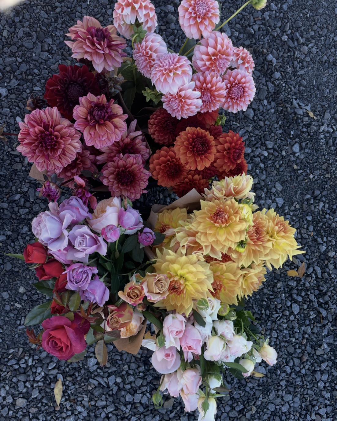 LAROSE ET FILLES BOUQUETS DE SAISON
