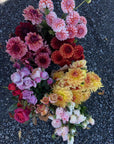 LAROSE ET FILLES BOUQUETS DE SAISON