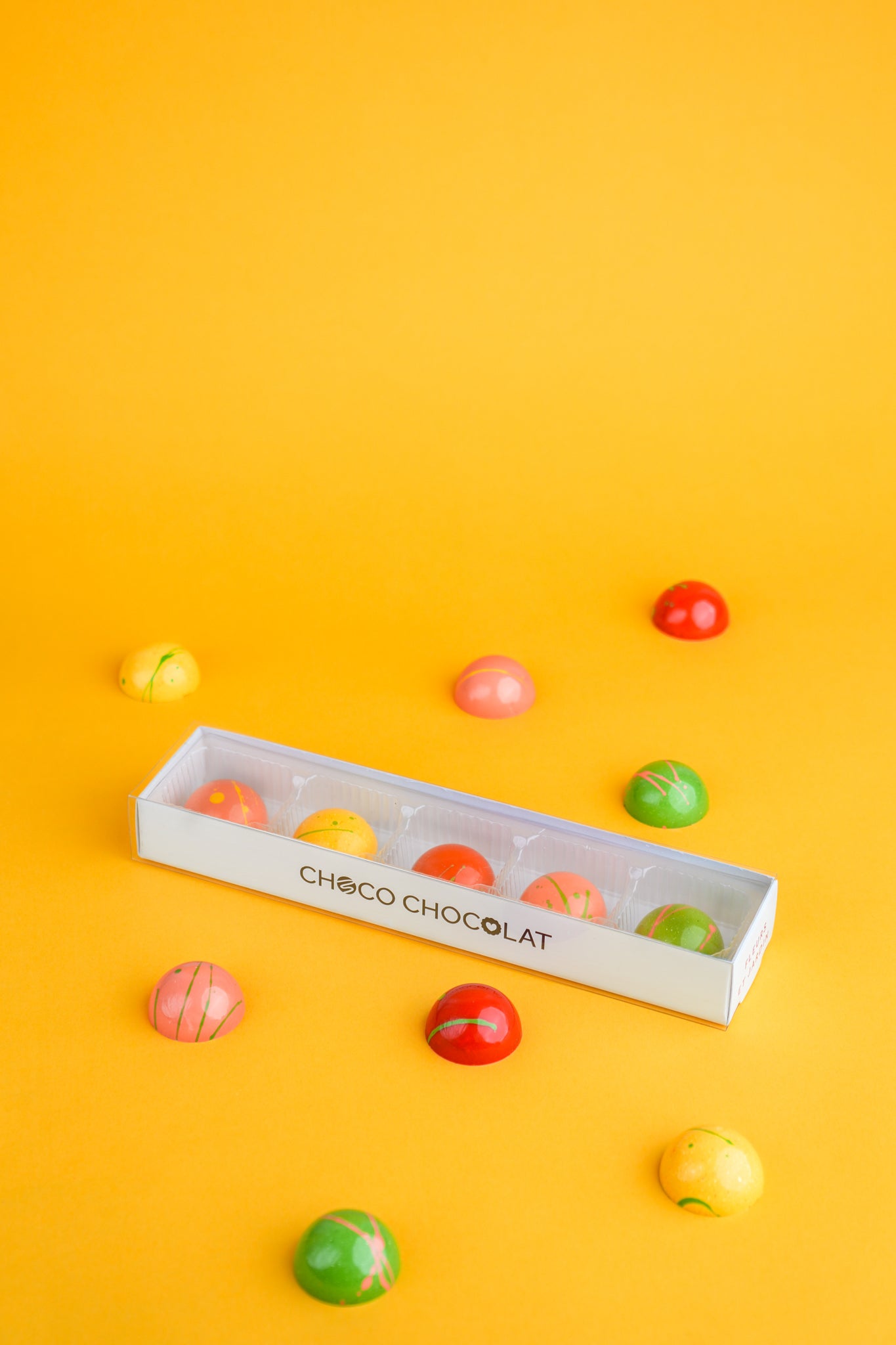 CHOCO CHOCOLAT BOÎTE DE 5 CHOCOLATS FINS JARDIN