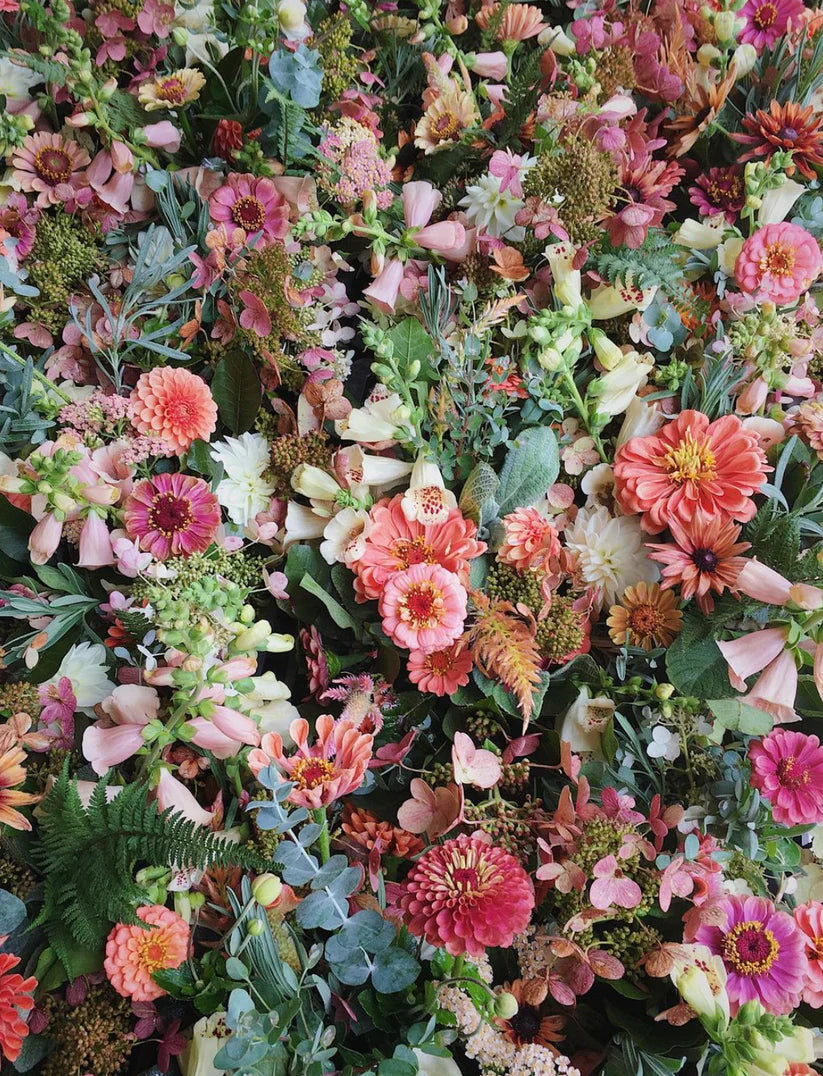 LAROSE ET FILLES BOUQUETS DE SAISON