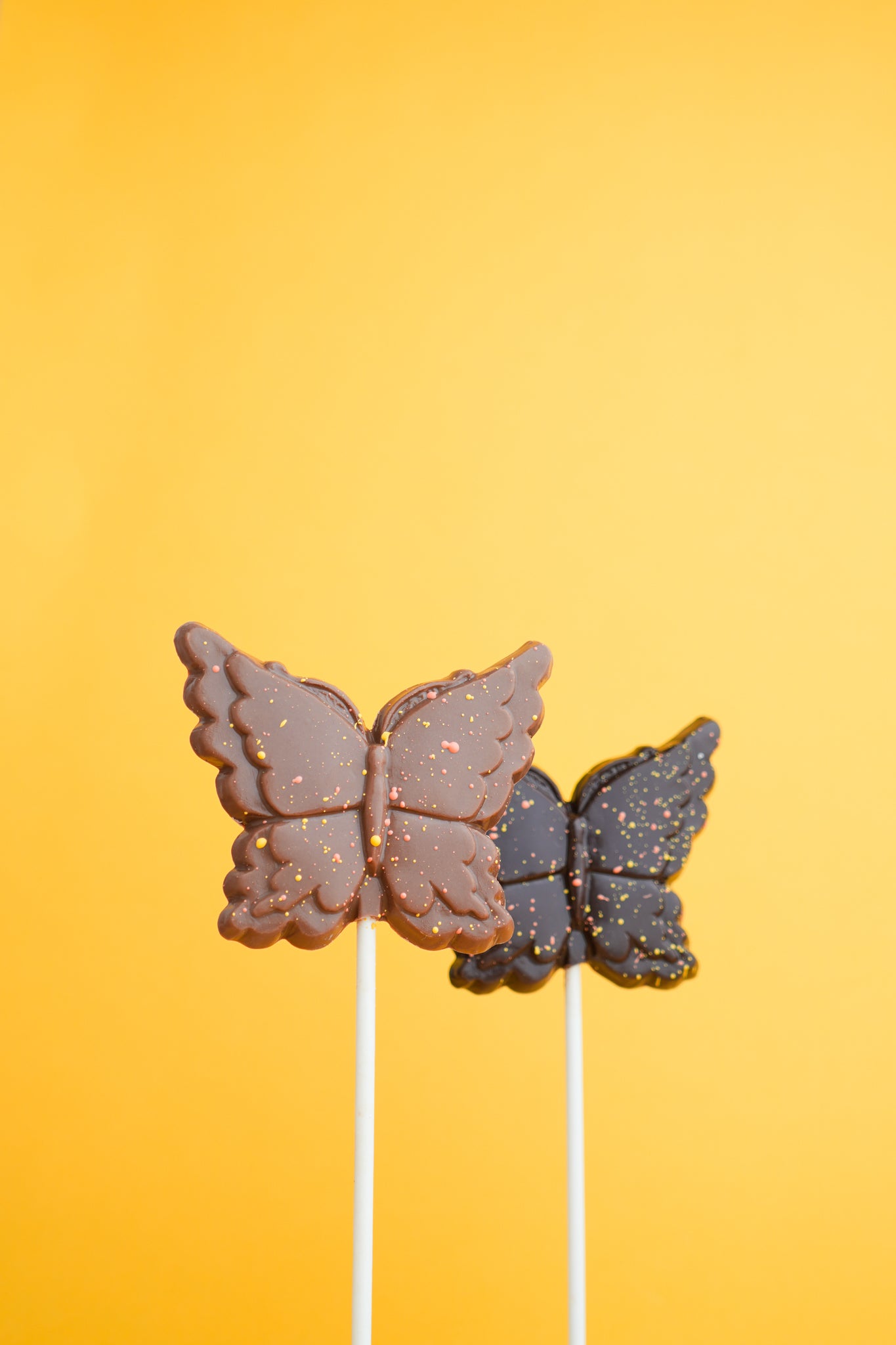 CHOCO CHOCOLAT SUCETTE PAPILLON 30G
